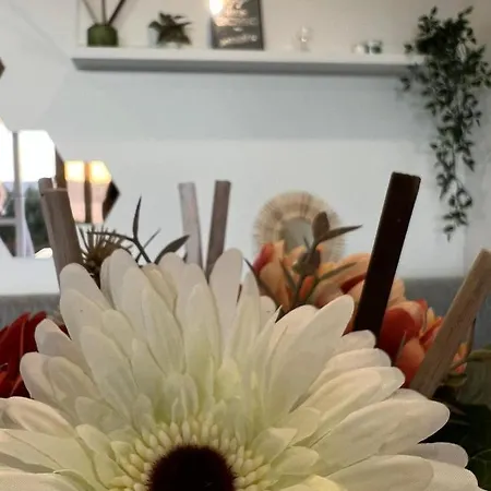 Villa Regina Capoliveri (Isola d'Elba)